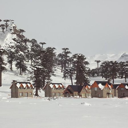 Cabanas Patagonia Village Caviahue Exterior foto