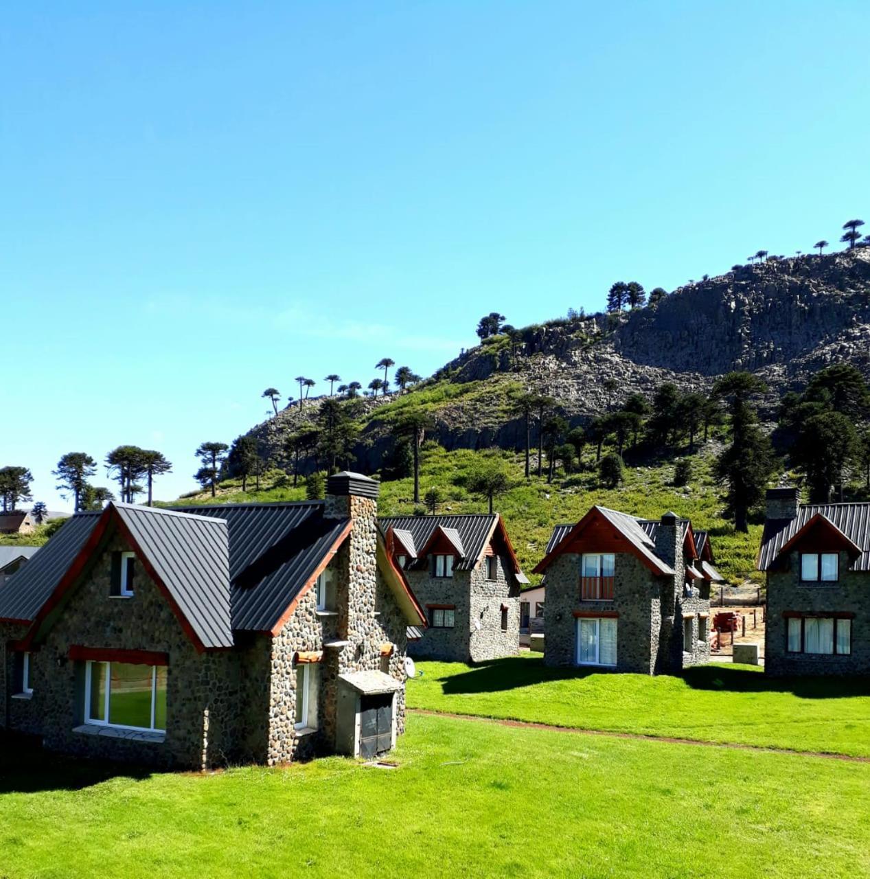 Cabanas Patagonia Village Caviahue Exterior foto